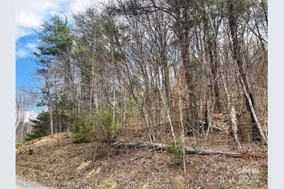 Tbd Moonbeam Lane #101 & 102, Clyde, NC 28721 - Photo 17