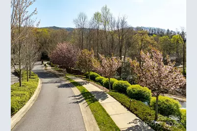 50 Settings Boulevard, Black Mountain, NC 28711 - Photo 7