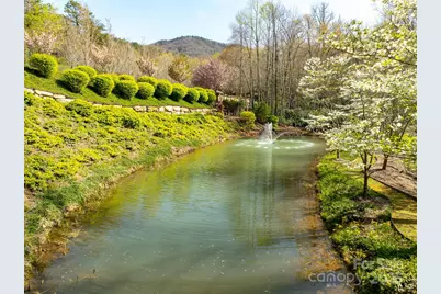 50 Settings Boulevard, Black Mountain, NC 28711 - Photo 9