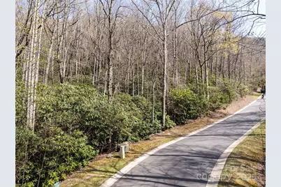 50 Settings Boulevard, Black Mountain, NC 28711 - Photo 3