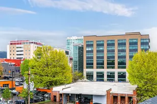 45 Asheland Ave, Asheville, NC 28801 - Photo 33