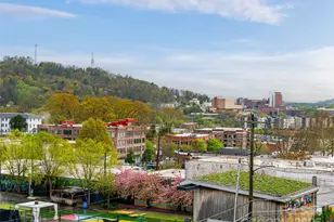 45 Asheland Ave, Asheville, NC 28801 - Photo 37