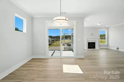 2007 Mantle Ridge Drive, Indian Trail, NC 28079 - Photo 11