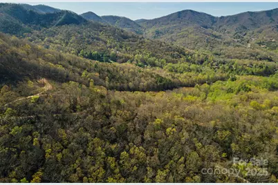 99999 Sunset Drive, Black Mountain, NC 28711 - Photo 31