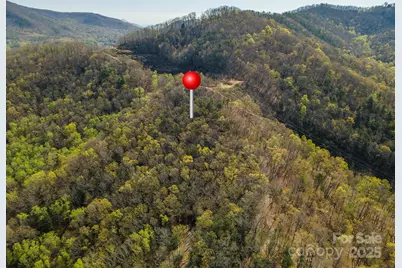99999 Sunset Drive, Black Mountain, NC 28711 - Photo 7