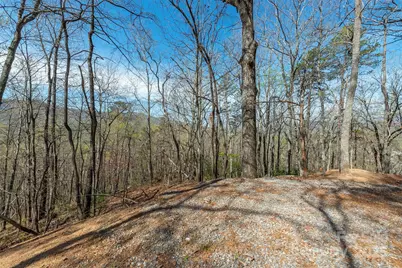 99999 Sunset Drive, Black Mountain, NC 28711 - Photo 9