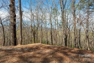 99999 Sunset Drive, Black Mountain, NC 28711 - Photo 13