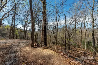 99999 Sunset Drive, Black Mountain, NC 28711 - Photo 3