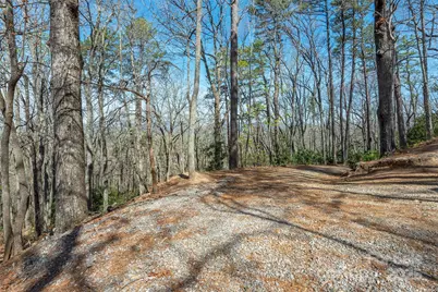 99999 Sunset Drive, Black Mountain, NC 28711 - Photo 11