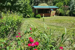 2978 Nc 9 Hwy, Black Mountain, NC 28711 - Photo 43