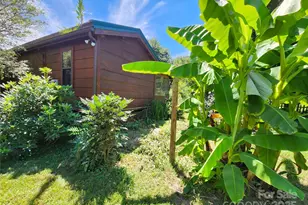 2978 Nc 9 Hwy, Black Mountain, NC 28711 - Photo 25