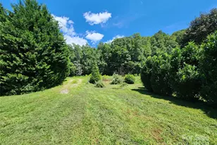 2978 Nc 9 Hwy, Black Mountain, NC 28711 - Photo 39