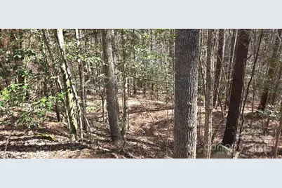 208 Ridge Top Drive, Connelly Springs, NC 28612 - Photo 5