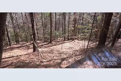 210 Ridge Top Drive, Connelly Springs, NC 28612 - Photo 7