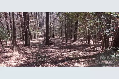 210 Ridge Top Drive, Connelly Springs, NC 28612 - Photo 5