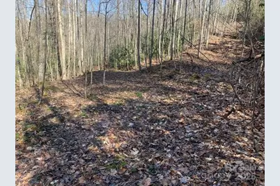 2399 Pleasant Grove Road, Hendersonville, NC 28739 - Photo 37