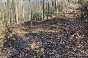 2399 Pleasant Grove Rd, Hendersonville, NC 28739 - Photo 37