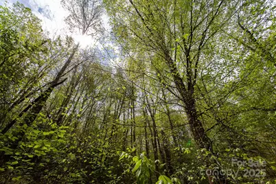 7042 Yellow Creek Road, Robbinsville, NC 28771 - Photo 3