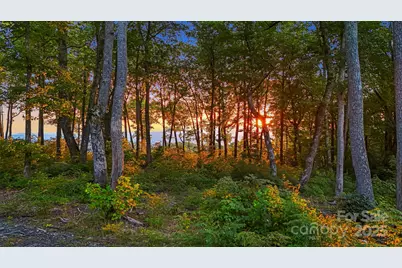 0 Mountain Grove Lane #Lot 68, Fletcher, NC 28732 - Photo 3