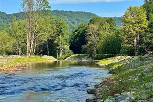 5381 State Hwy 197 S Hwy, Burnsville, NC 28714 - Photo 31