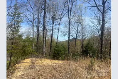 32 Wild Iris Road, Brevard, NC 28712 - Photo 1