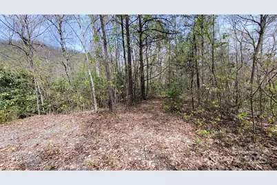 25 Lacy Fern Ridge #25, Sylva, NC 28779 - Photo 5