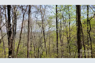 25 Lacy Fern Ridge #25, Sylva, NC 28779 - Photo 9