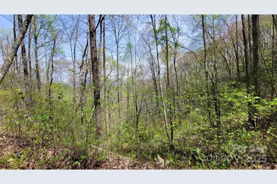 25 Lacy Fern Ridge #25, Sylva, NC 28779 - Photo 11