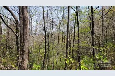 25 Lacy Fern Ridge #25, Sylva, NC 28779 - Photo 7