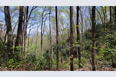 25 Lacy Fern Ridge #25, Sylva, NC 28779 - Photo 19