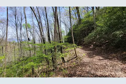 25 Lacy Fern Ridge #25, Sylva, NC 28779 - Photo 15