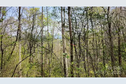 25 Lacy Fern Ridge #25, Sylva, NC 28779 - Photo 13