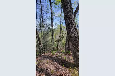 27 Lacy Fern Ridge #27, Sylva, NC 28779 - Photo 19