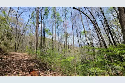 27 Lacy Fern Ridge #27, Sylva, NC 28779 - Photo 15