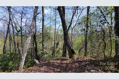 28 Lacy Fern Ridge #28, Sylva, NC 28779 - Photo 19