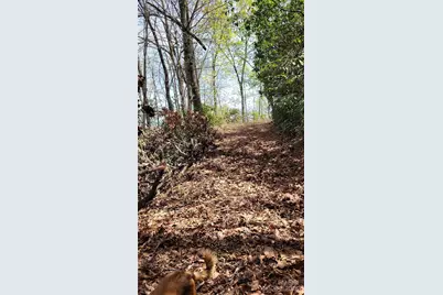 28 Lacy Fern Ridge #28, Sylva, NC 28779 - Photo 21