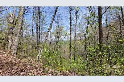 29 Lacy Fern Ridge #29, Sylva, NC 28779 - Photo 9