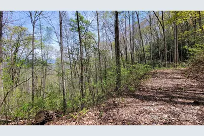 29 Lacy Fern Ridge #29, Sylva, NC 28779 - Photo 11