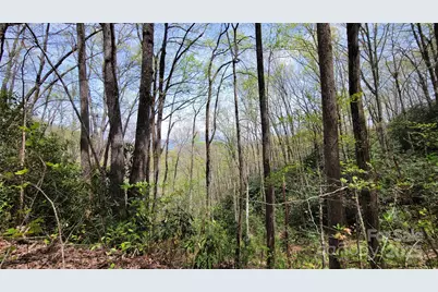 29 Lacy Fern Ridge #29, Sylva, NC 28779 - Photo 17