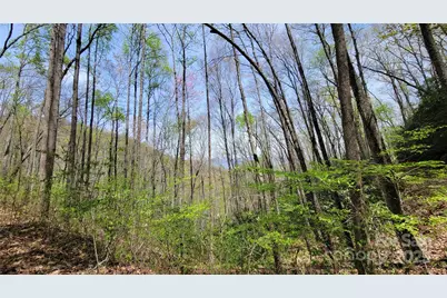 29 Lacy Fern Ridge #29, Sylva, NC 28779 - Photo 15