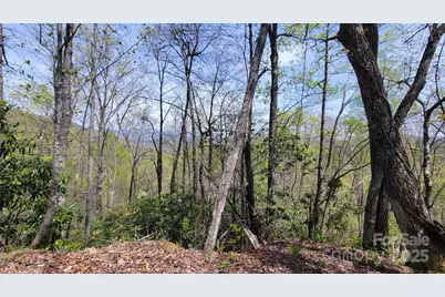 29 Lacy Fern Ridge #29, Sylva, NC 28779 - Photo 21