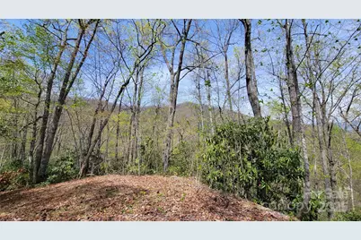 29 Lacy Fern Ridge #29, Sylva, NC 28779 - Photo 19