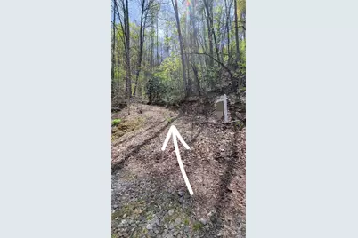 31 Lacy Fern Ridge #31, Sylva, NC 28779 - Photo 3