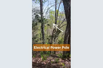 31 Lacy Fern Ridge #31, Sylva, NC 28779 - Photo 17