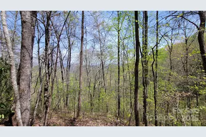 31 Lacy Fern Ridge #31, Sylva, NC 28779 - Photo 7