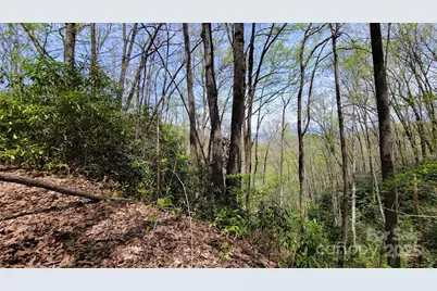 31 Lacy Fern Ridge #31, Sylva, NC 28779 - Photo 15