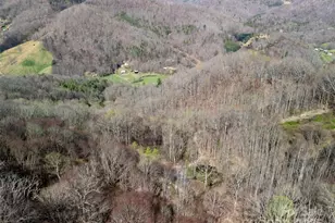 40 Acres Charity Ln, Burnsville, NC 28714 - Photo 7