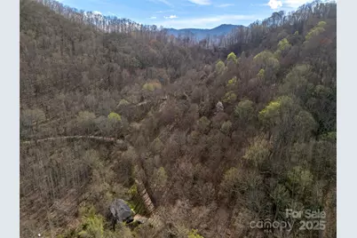 40 Acres Charity Lane, Burnsville, NC 28714 - Photo 5