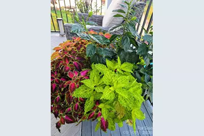 17810 Half Moon Lane #L, Cornelius, NC 28031 - Photo 47