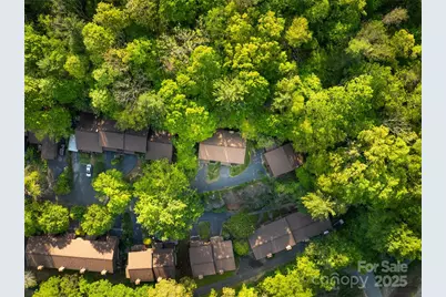 802 Parkway Vista Drive, Asheville, NC 28805 - Photo 7